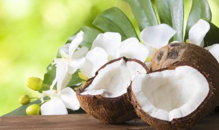 椰子营养功效与作用 椰子营养价值与功效