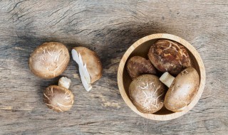 干香菇的功效与作用及食用方法 干香菇的功效与作用