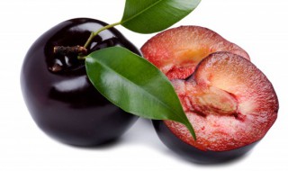 黑李子的营养价值及功效与作用 什么水果刮油效果最好