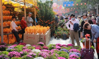 过年在家里放哪种鲜花寓意好 过年在家里放哪种鲜花寓意好呢