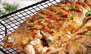 烤鲈鱼的家常做法 鲈鱼为什么不能红烧