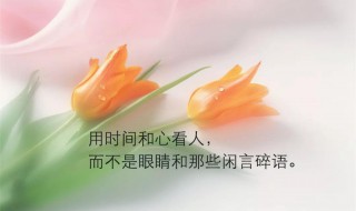 精辟透彻的人生感悟（精辟透彻的人生感悟短句）