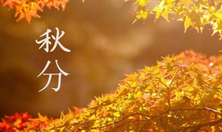 关于秋分节气的知识（关于秋分节气介绍）