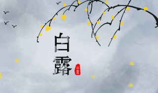 关于白露节气的知识（白露节气的相关知识）