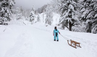 干雪和湿雪的区别 干雪和湿雪的特点