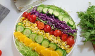 蔬菜沙拉的做法是什么意思 蔬菜沙拉的做法是什么
