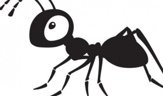 梦到蚂蚁的预兆什么意思 梦到蚂蚁的预兆