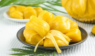 菠萝蜜的吃法和功效 菠萝蜜的吃法和功效与作用