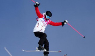 自由式滑雪大跳台和空中技巧 自由式滑雪大跳台规则