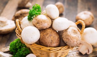 蘑菇和豆腐有毒吗会中毒吗 蘑菇和豆腐有毒吗