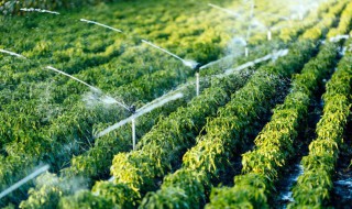 灌溉怎么读音 灌溉怎么读