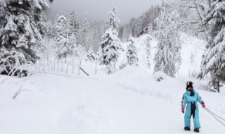 自由式滑雪大跳台世界杯美国斯廷博特站的比赛 自由式滑雪大跳台世界杯