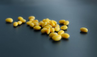 黄豆的做法有哪些 黄豆做法大全菜谱
