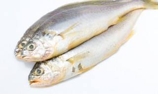 吃鱼杂的坏处 吃鱼杂有危害吗