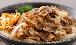 牛肉的家常做法大全 牛肉丼的家常做法