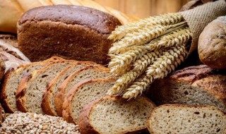 减肥面包的家常做法 减肥面包的做法大全