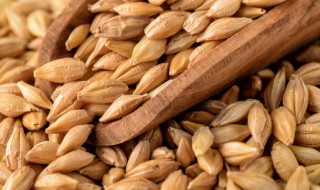 小麦的功效与作用禁忌症 小麦的功效与作用禁忌