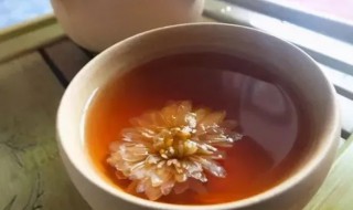 菊花和普洱茶可以一起泡茶吗功效 菊花和普洱茶可以一起泡茶吗