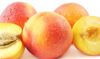 温性水果有哪几种 温性水果种类有哪些