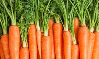 胡萝卜叶子能吃吗 胡萝卜叶子的吃法和营养价值