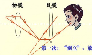 怎样区分实像和虚像（怎样区分实像和虚像?）