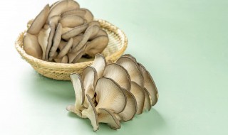 蘑菇怎么炒才好吃 蘑菇怎么炒的好吃?