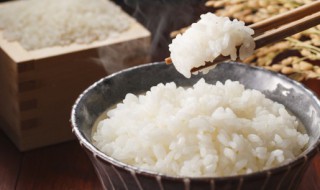 什么地方的米最好 哪里的米更适合做米饭