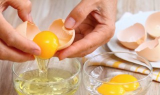 为什么储存鸡蛋时会发臭的原因 为什么储存鸡蛋时会发臭