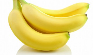 芭蕉和香蕉的营养成分有什么区别呢英语 芭蕉和香蕉的营养成分有什么区别呢