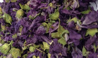 紫罗兰花茶的功效与作用及禁忌 紫罗兰花茶的功效与作用及禁忌是什么