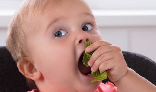 宝宝不吃蔬菜怎么办（4岁宝宝不吃蔬菜怎么办）
