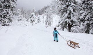 女人梦见白白的雪地什么意思 女人梦见白白的雪地的意思