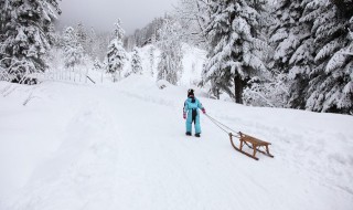 如何在暴风雪中求生 如何在暴雨中求生