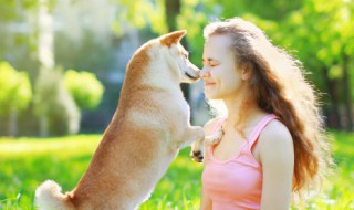 怎么确保爱犬产后健康（狗狗生产如何照顾）