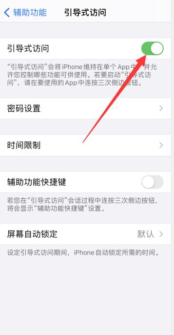 iPhone11引导式访问怎么用不了了