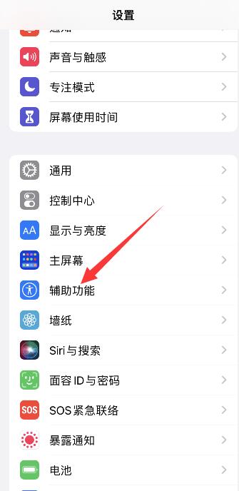 iPhone撤销键入怎么关闭