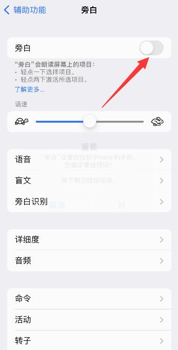 iPhone手机旁白是什么意思