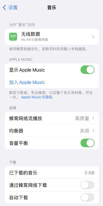 iPhone设置里音乐不见了