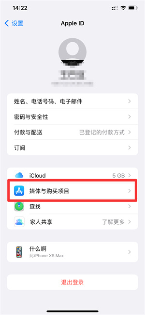 iPhoneapp支付明细在哪里查询