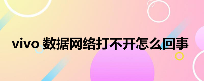 vivo数据网络打不开怎么回事