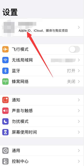 怎么查看自己的iPhoneID