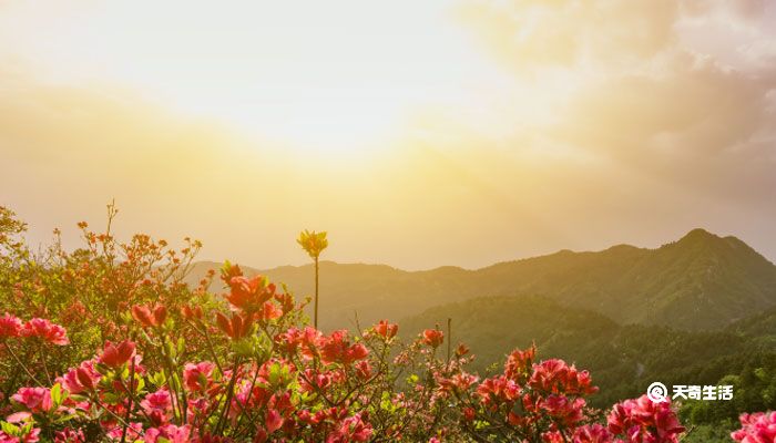 励志加伤感的句子 盘点励志加伤感的句子