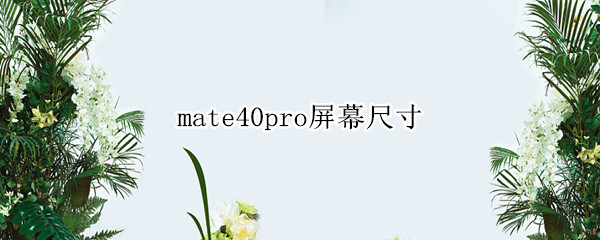mate40pro屏幕尺寸（Mate40pro屏幕尺寸）