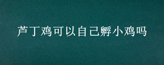 芦丁鸡可以自己孵小鸡吗_养鸡人必看