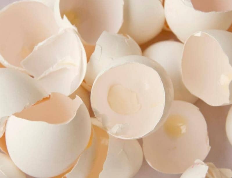 鸡蛋壳的作用有哪些