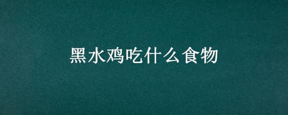 黑水鸡吃什么食物_养鸡人必看