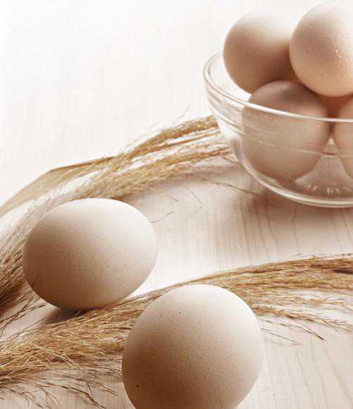 鸡蛋可以治猪气喘病及猪瘟