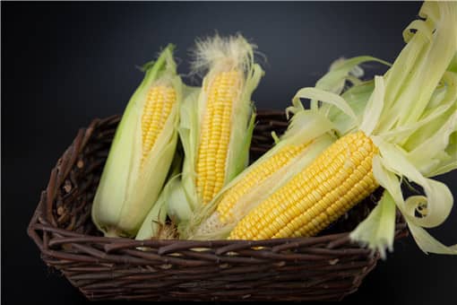 2021年玉米补贴多少钱一亩