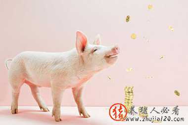 明年生猪底价：乐观看7.5元/斤，悲观看7元/斤？