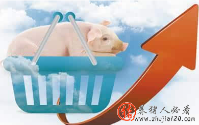 9月初猪价很难出现大幅度上涨和下跌